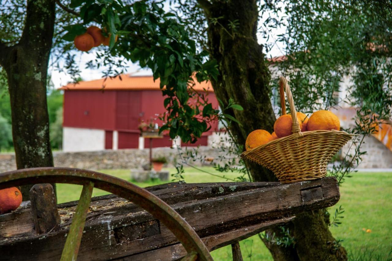 Quinta De Chousas - Braga - Agroturismo 외부 사진