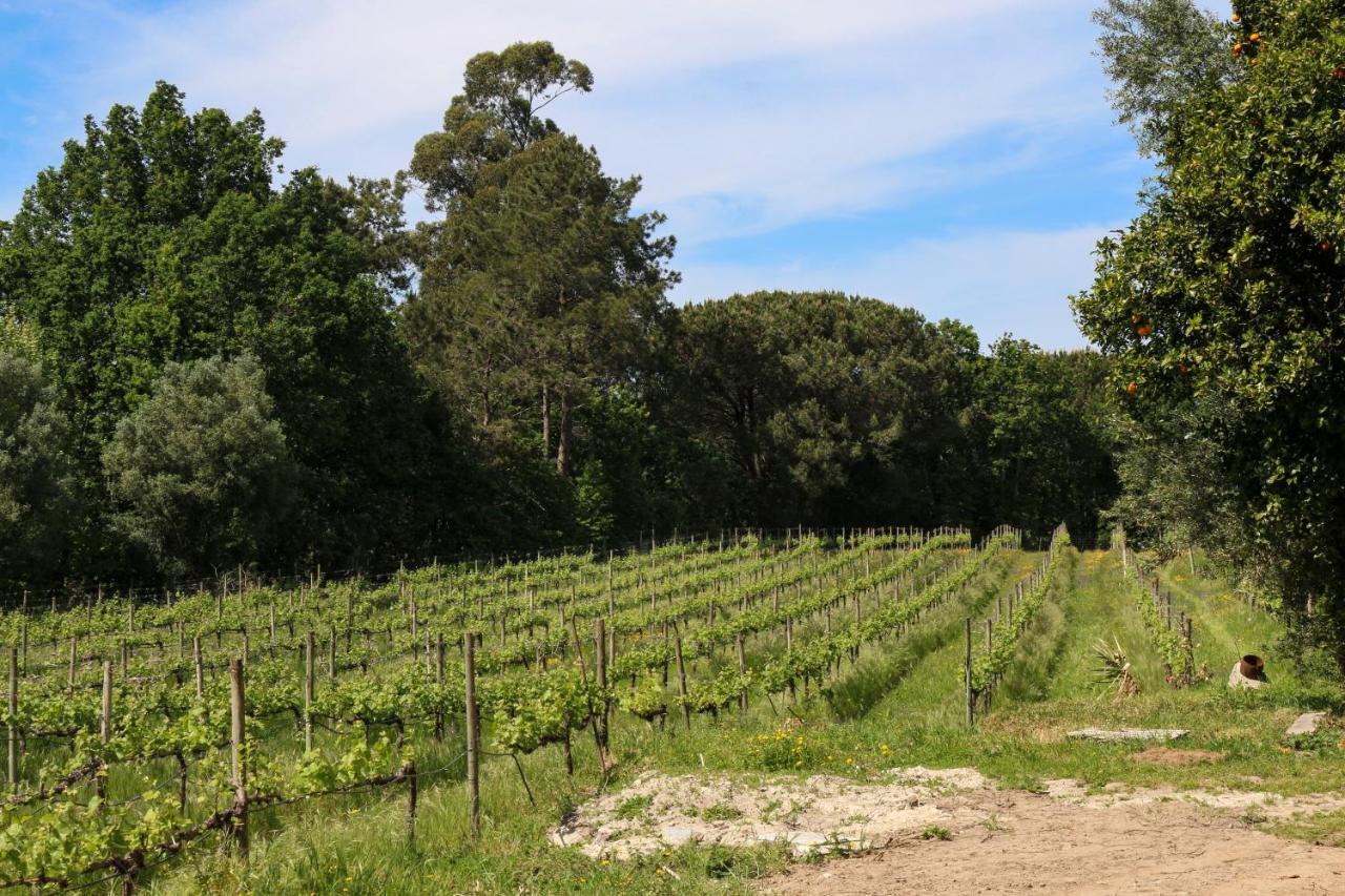 Quinta De Chousas - Braga - Agroturismo 외부 사진
